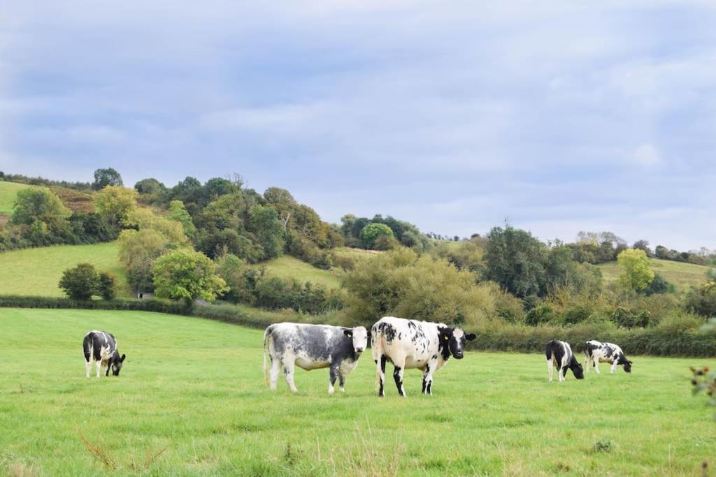 Nr Bicester Village 5 Star Luxury On Farm Piddington Exterior photo